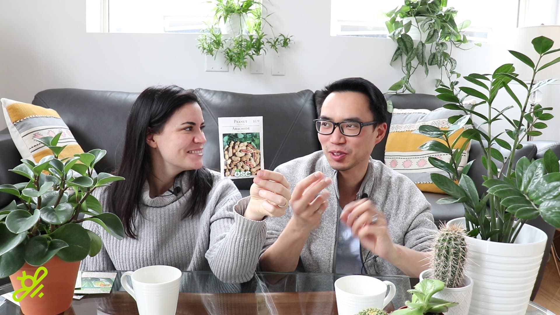 Seed starting indoors with Jaz and House Plant Journal | ask gardenstead 013