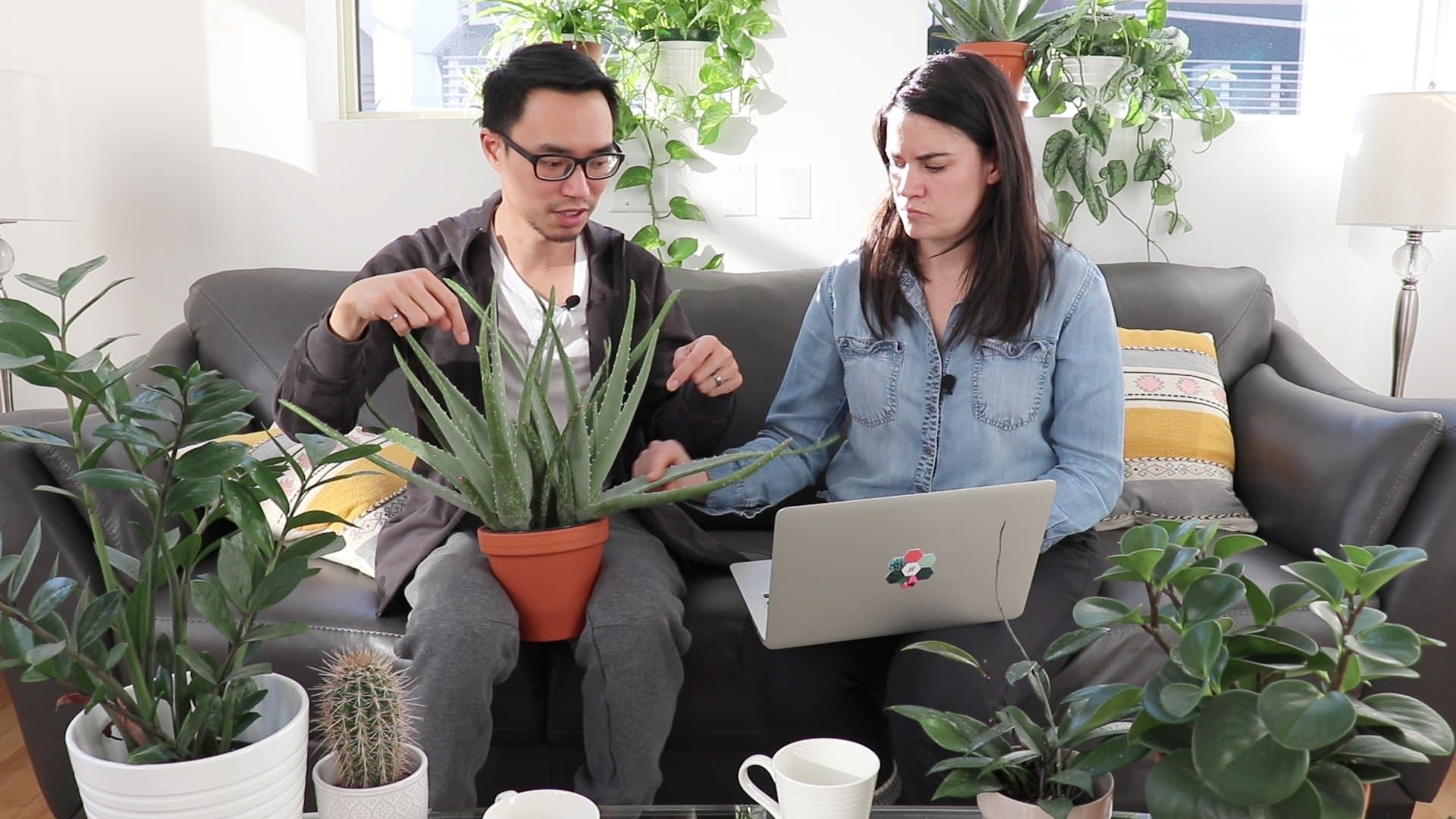 Houseplant care 101 with House Plant Journal | ask gardenstead 014