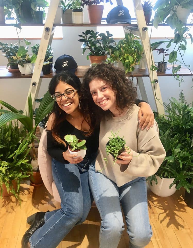 Lessons from working at gardenstead