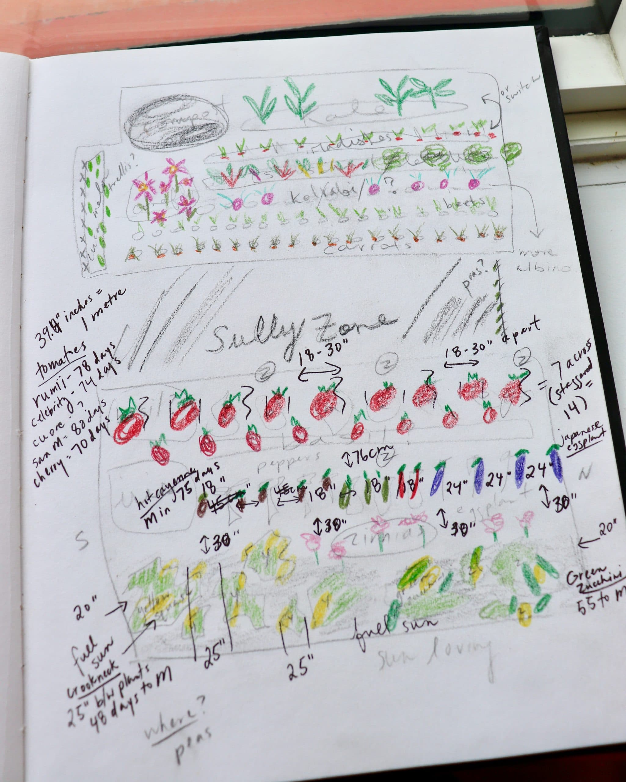Designing your vegetable garden