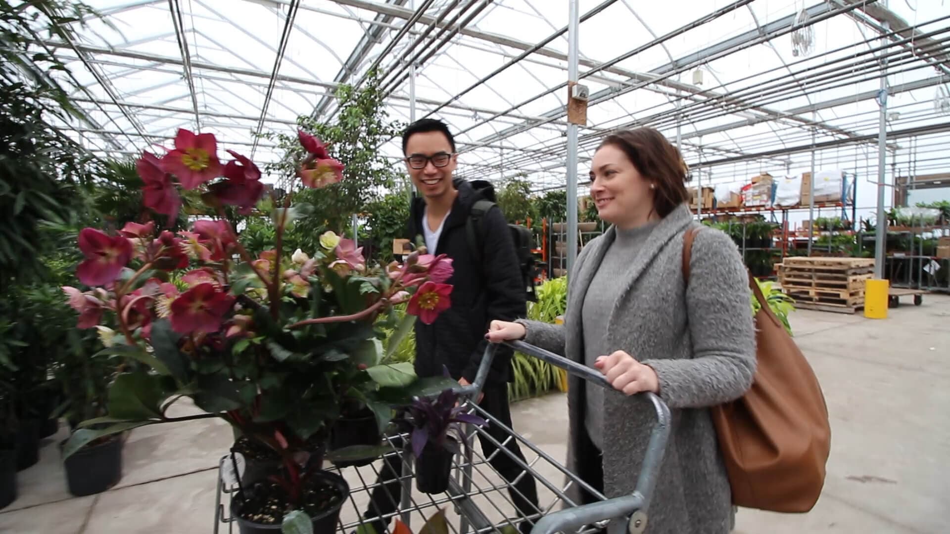 Plant tour at Valleyview Gardens | ask gardenstead 016