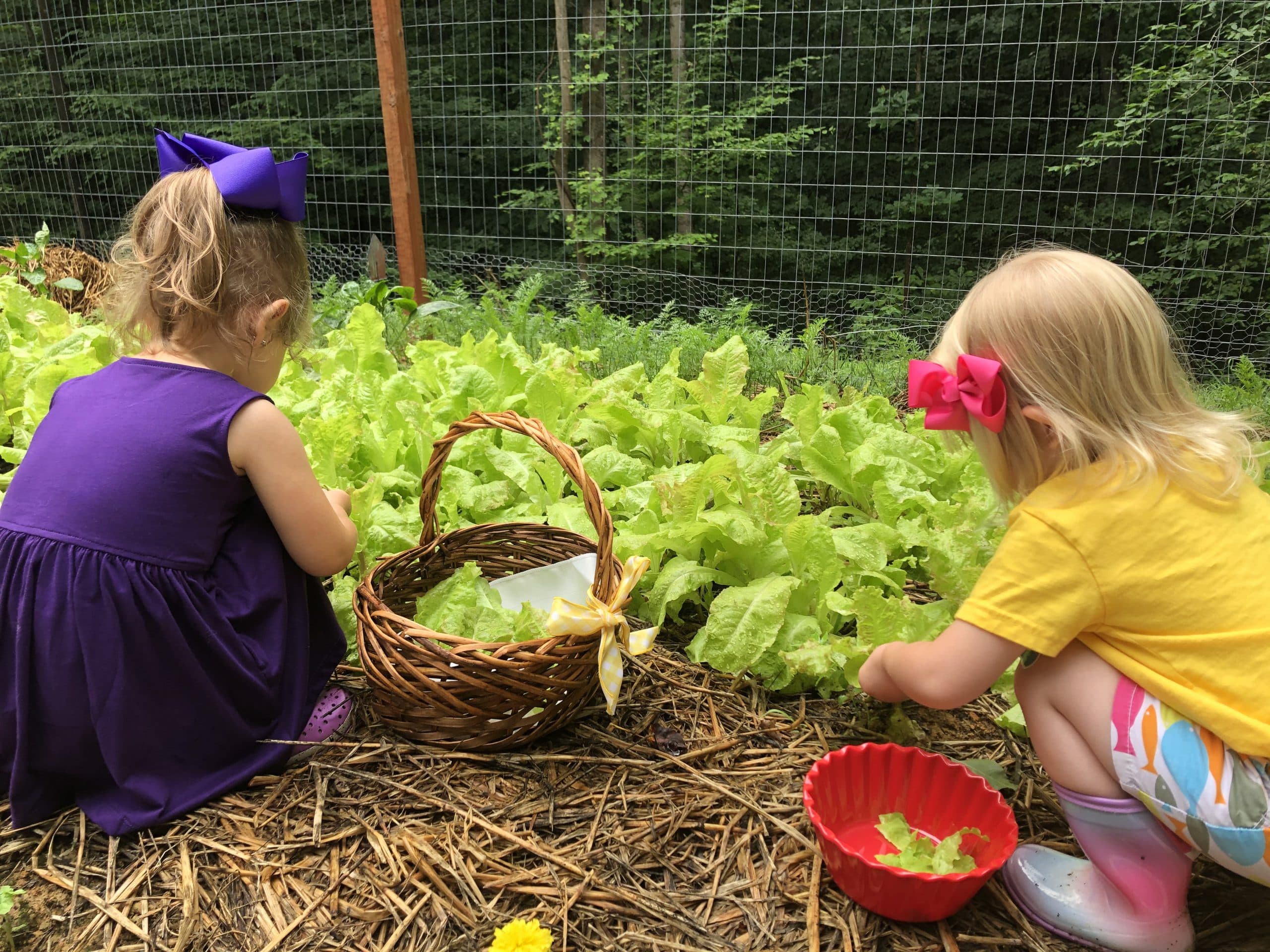 Gardening with children