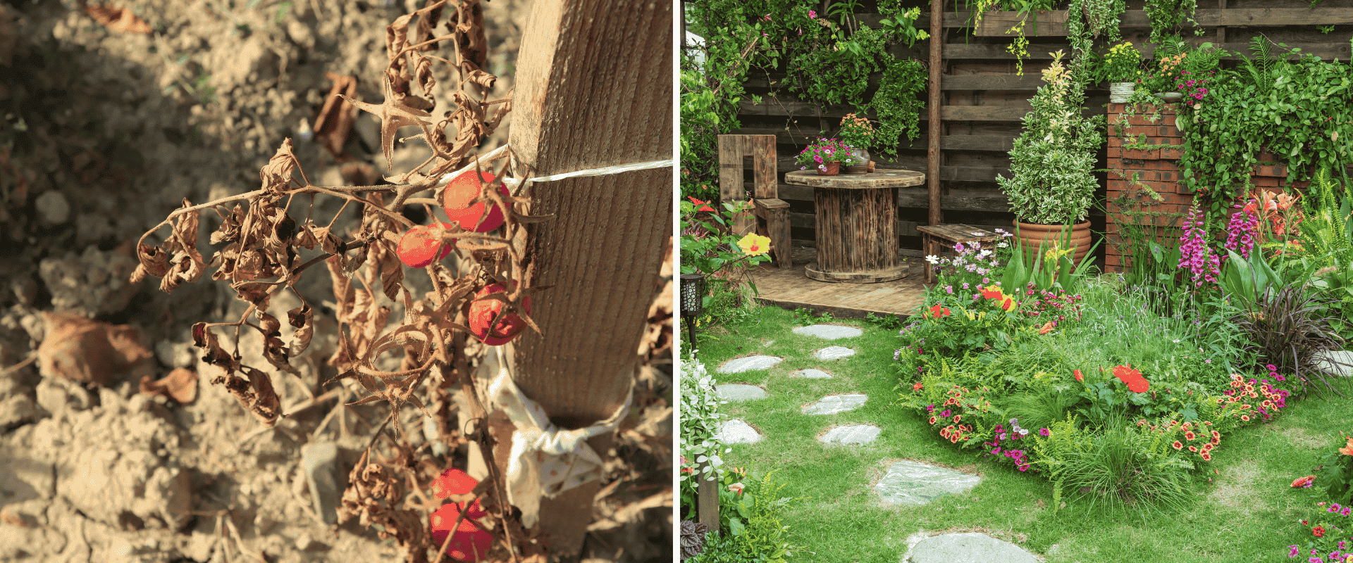 Adapting Your Garden to Extreme Weather: Drought, Heat &amp; Unpredictable Seasons