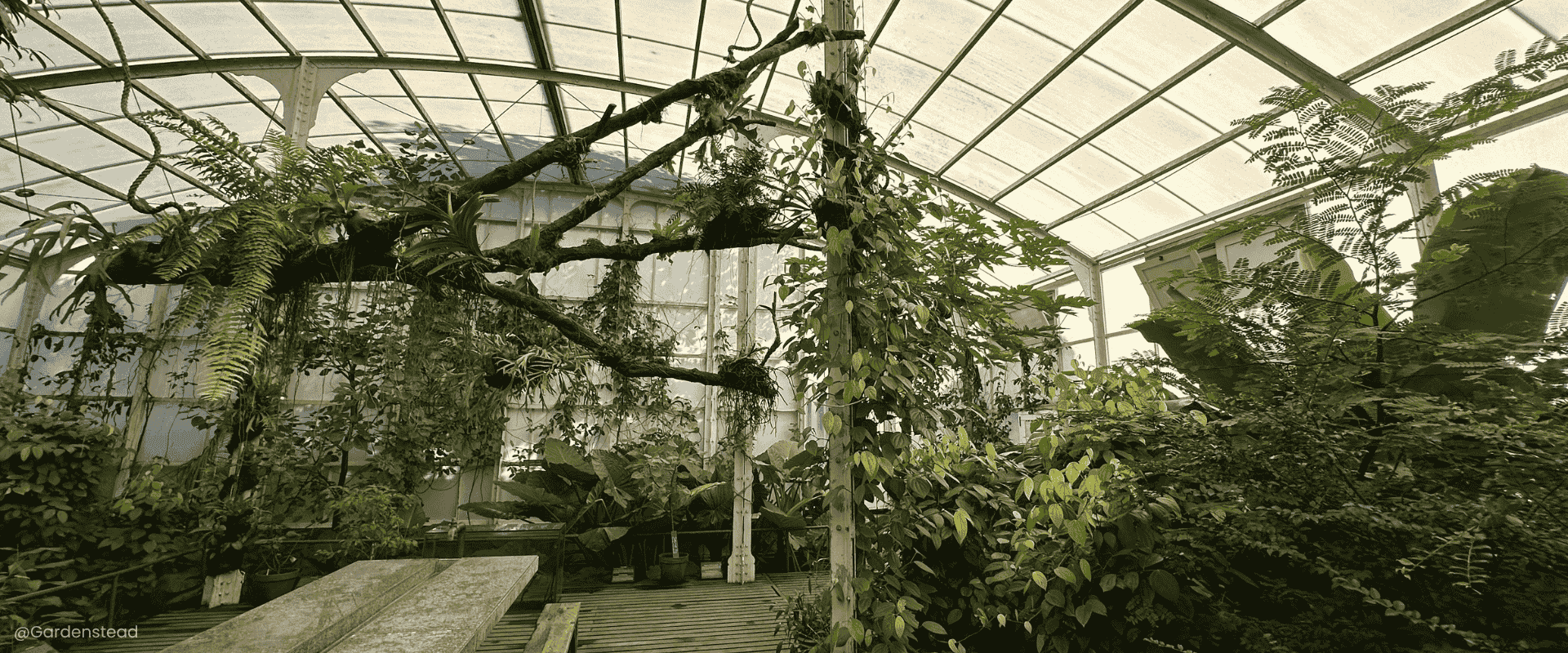 Indoor Growing Revolution: Year-Round Food Production Anywhere